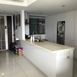 Blk 1B The Pinnacle@Duxton (Bukit Merah), HDB 4 Rooms #487051941